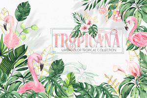 Watercolor Tropical Collection