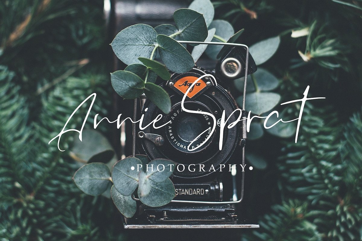 Orchest Luxury Calligraphy Font preview 7