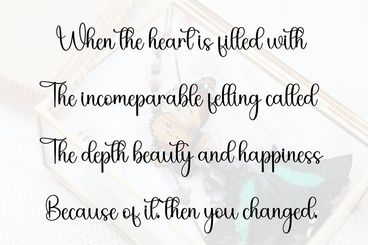 Wings, a Handwritten Font by FreshTypeINK (Photo 7 of 8)