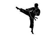 Dynamic martial arts kick silhouette, a Graphic by Amazin_art (Thumbnail 25 of 36)