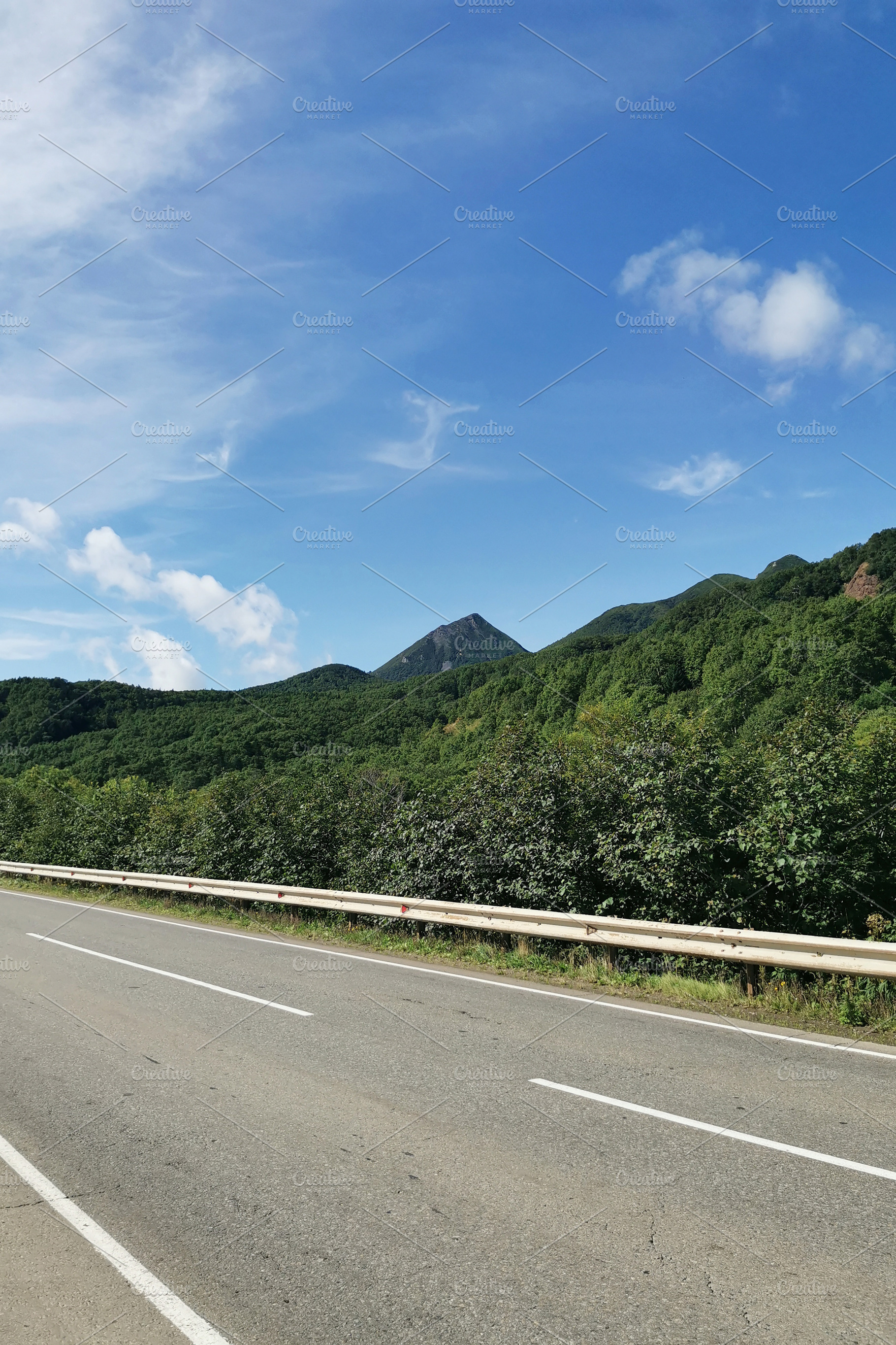 Mountain road with lush forest, a Nature Photo by Elena Vagengeim