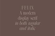 Felix - Condensed Display Serif Font, a Serif Font by Studio Aurora (Thumbnail 2 of 10)