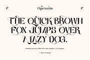 Quessera Font, a Sans Serif Font by Oui Studio (Thumbnail 8 of 21)