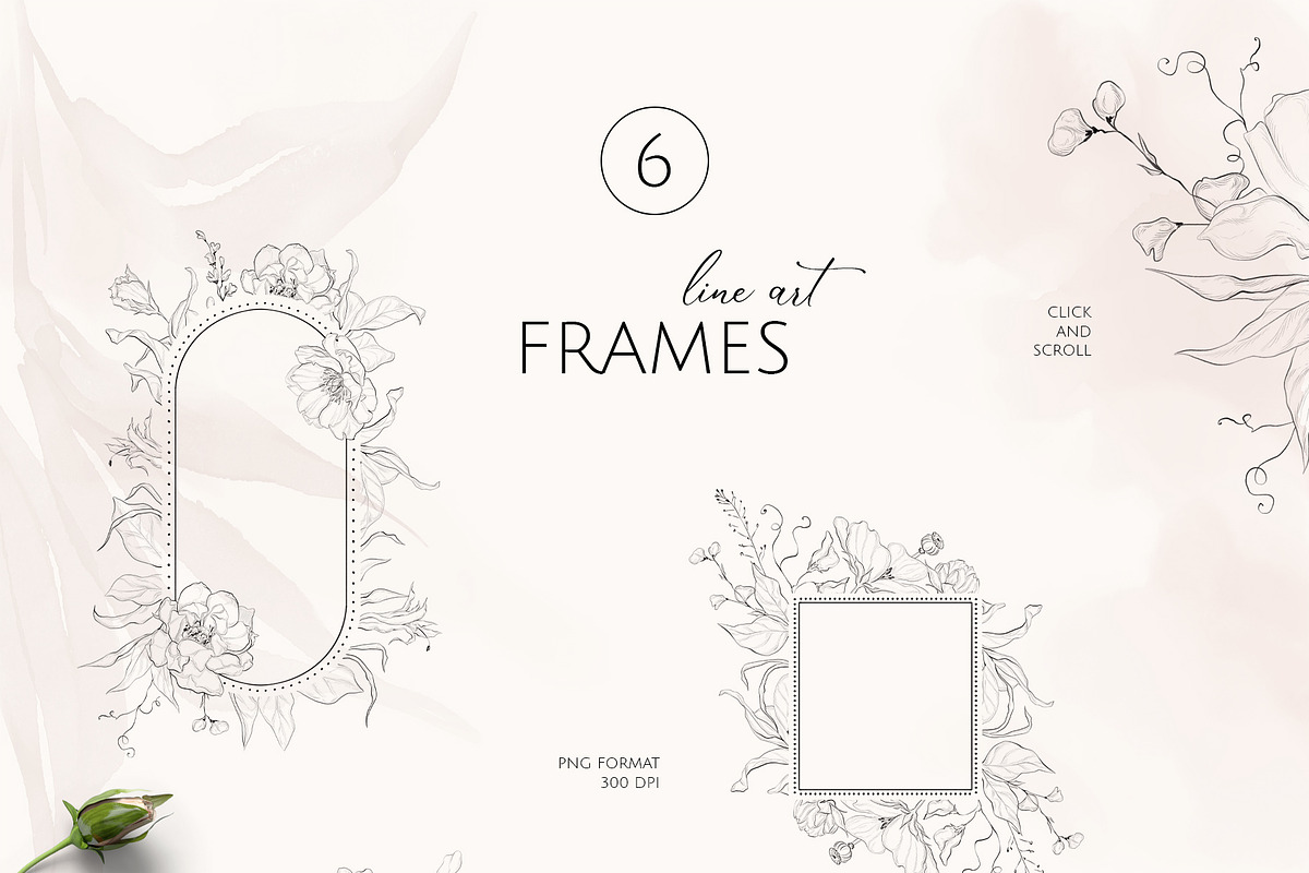 FINE GARDEN line art floral set, a Decorative Illustration by Yuliia Lashevska (Photo 6 of 12)