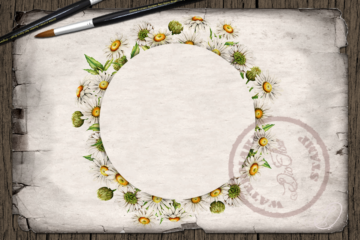 Daisy Watercolor Illustration, a Decorative Illustration by DioFlow (Photo 4 of 5)