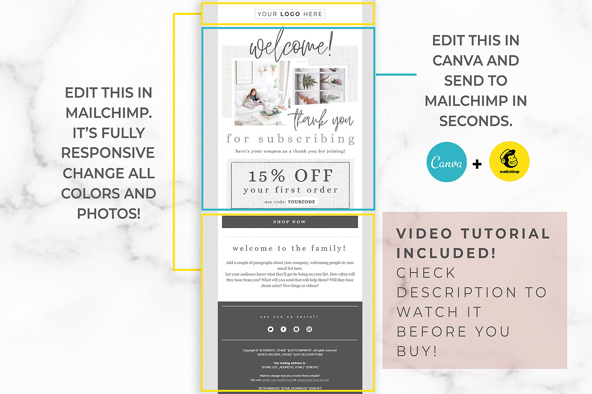 Canva & Mailchimp Template | Coupon, an Email Template by Thirty One Palms Studio (Photo 3 of 7)