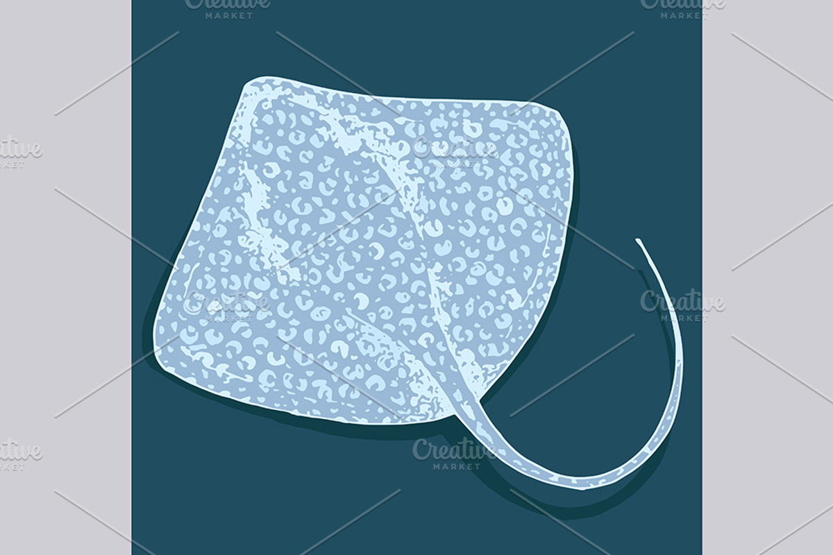 Stingray fish illustrations, pattern, an Animal Illustration by OKart.studio (Photo 4 of 8)