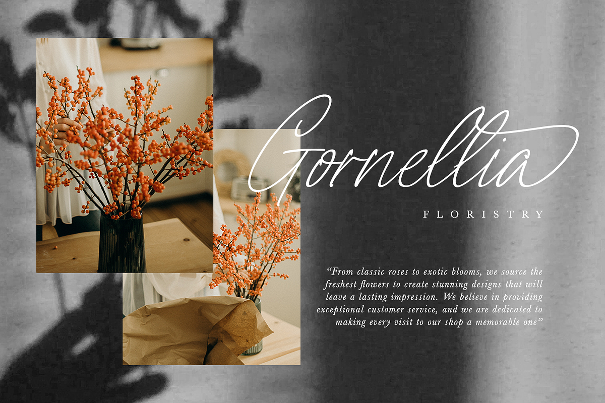 Signatires, a Script Font by din-studio.com (Photo 5 of 10)