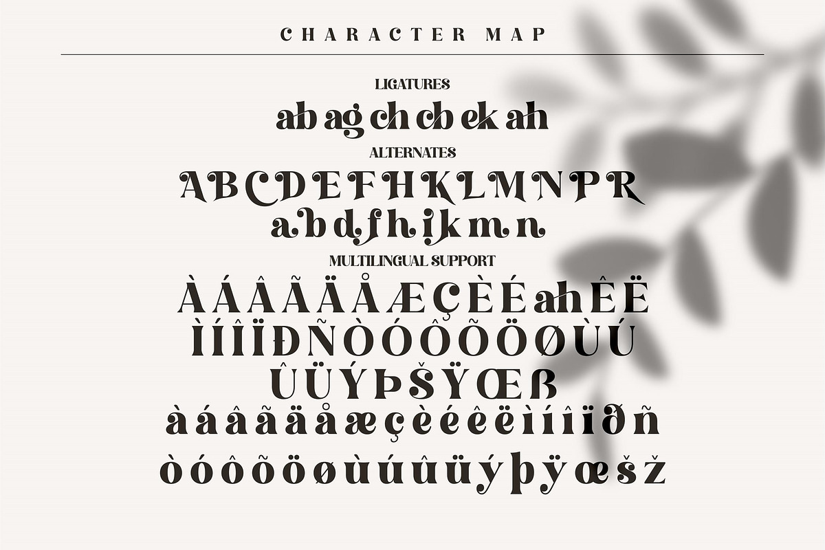 Hochagi Classy Serif Font, a Script Font by Storytype Studio (Photo 8 of 9)