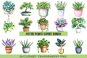 Potted Plants Clipart Bundle, an Illustration by cherrydesign (Thumbnail 1 of 3)