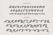 Legend Script, Sans & Serif (Soft), a Script Font by Andrey Sharonov (Thumbnail 15 of 19)