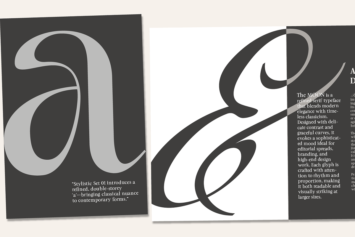 The MOON – Modern & Classic Serif +, a Serif Font by xdCreative (Photo 11 of 12)