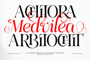 Medvilea Editorial | 15 Style Font, a Serif Font by IM Studio (Thumbnail 3 of 13)