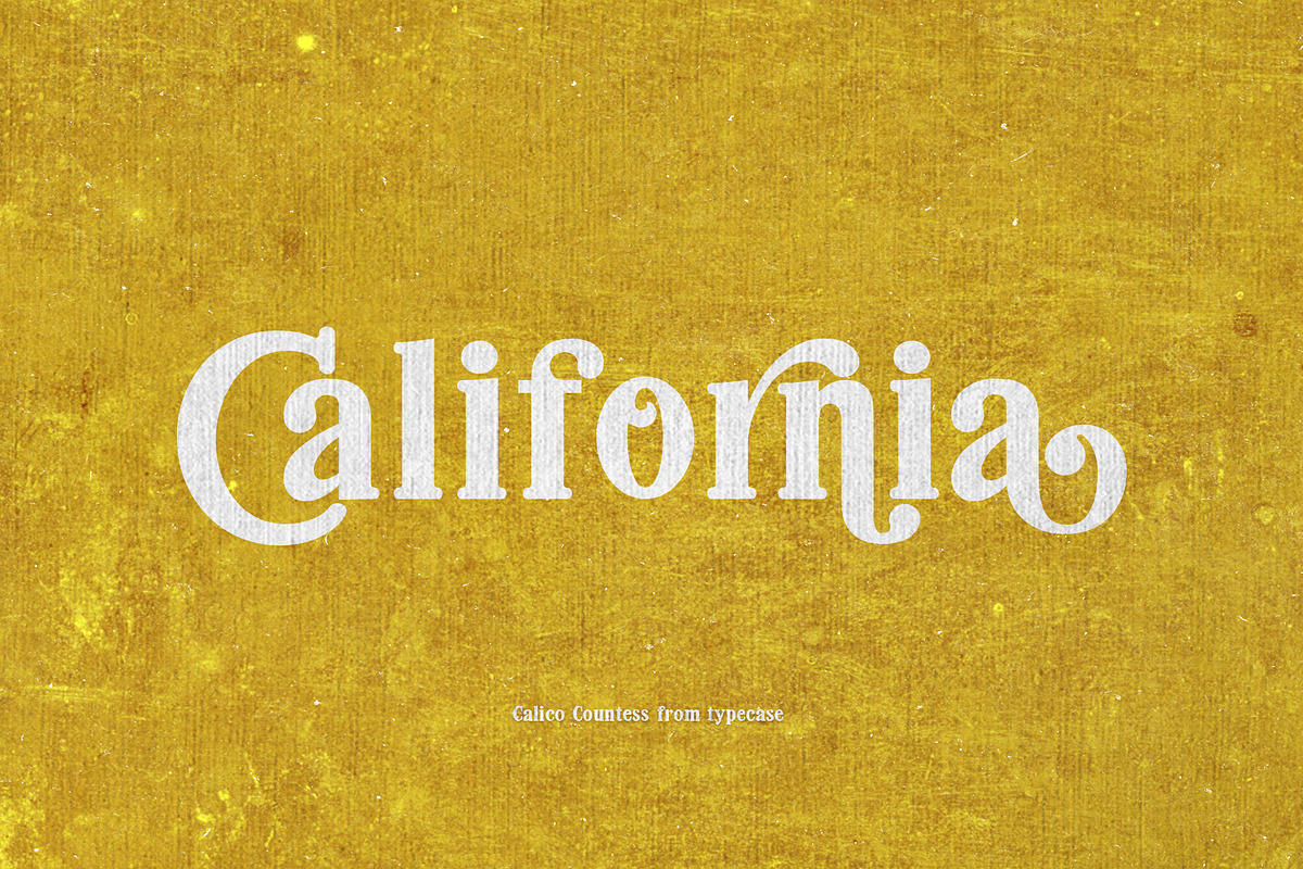 Calico Countess Font, a Serif Font by Aldiwangsadipa (Photo 12 of 12)