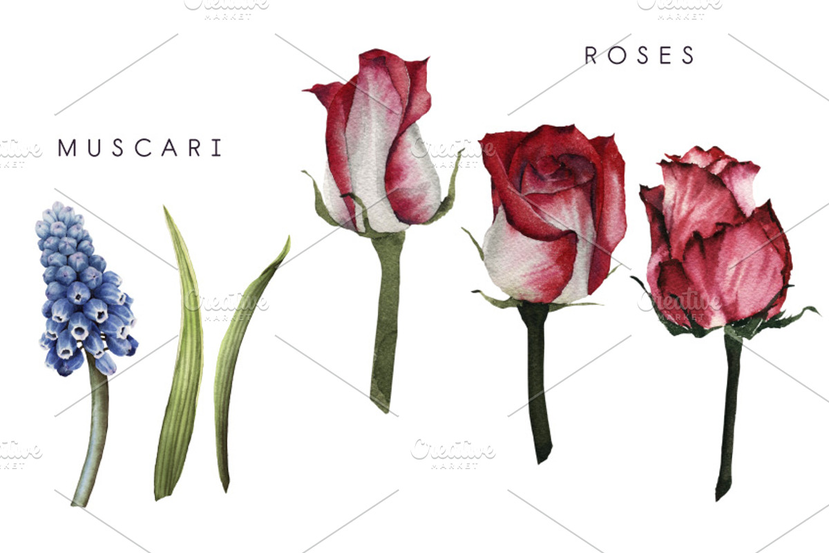 Summer Flowers, a Decorative Illustration by ollalya (Photo 3 of 4)