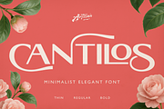 Cantilos, a Serif Font by Artisan Themes (Thumbnail 1 of 11)