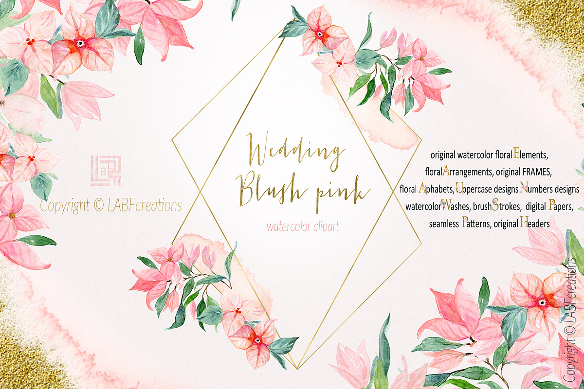 Blush pink bougainvillea flowers, an Illustration by LABFcreations (Photo 5 of 16)