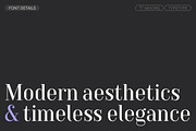 TT Moons, a Serif Font by TypeType (Thumbnail 3 of 12)