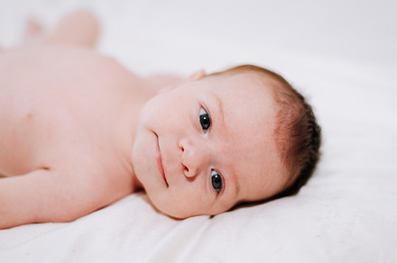 portrait of a newborn in studio lighting against white, a Person Photo by rubenchase