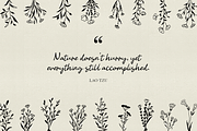Wildflowers Line Art No:7, a Texture Illustration by Kaya Fonts (Thumbnail 16 of 17)