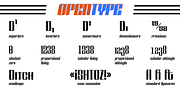 Shtozer, a Serif Font by Pepper Type (Thumbnail 13 of 14)
