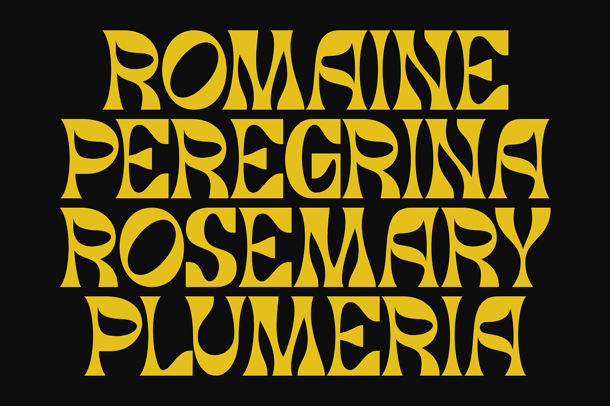 Asher | Modern Display Typeface, a Sans Serif Font by Typoraith Co (Photo 4 of 9)