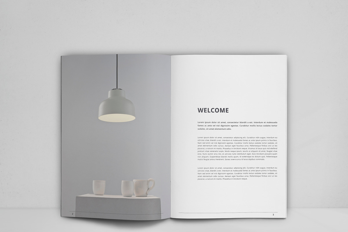 Product Catalog, a Brochure Template by design_pick (Photo 3 of 10)