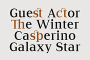 Cirvia Timeless & Fresh Serif Family, a Serif Font by Lettertype Studio (Thumbnail 4 of 15)