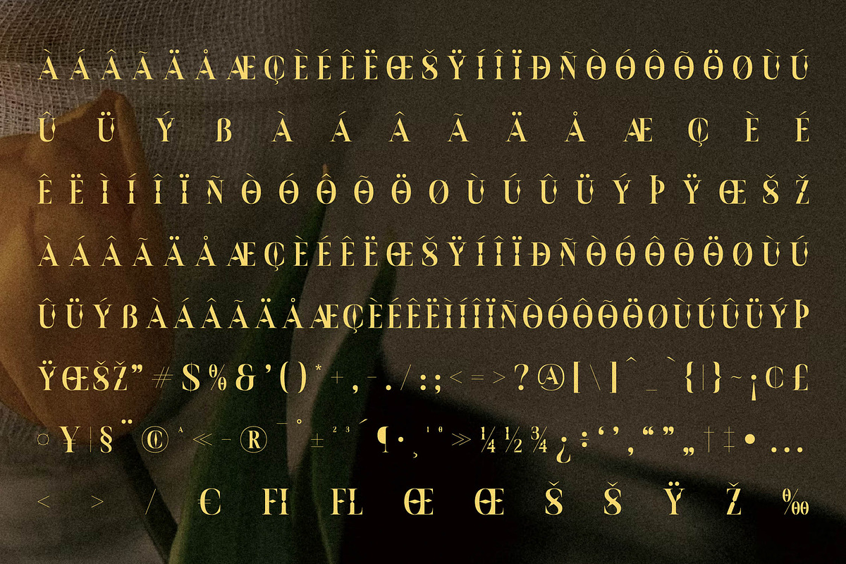 Moskice New Modern Display Font, a Serif Font by Storytype Studio (Photo 14 of 15)