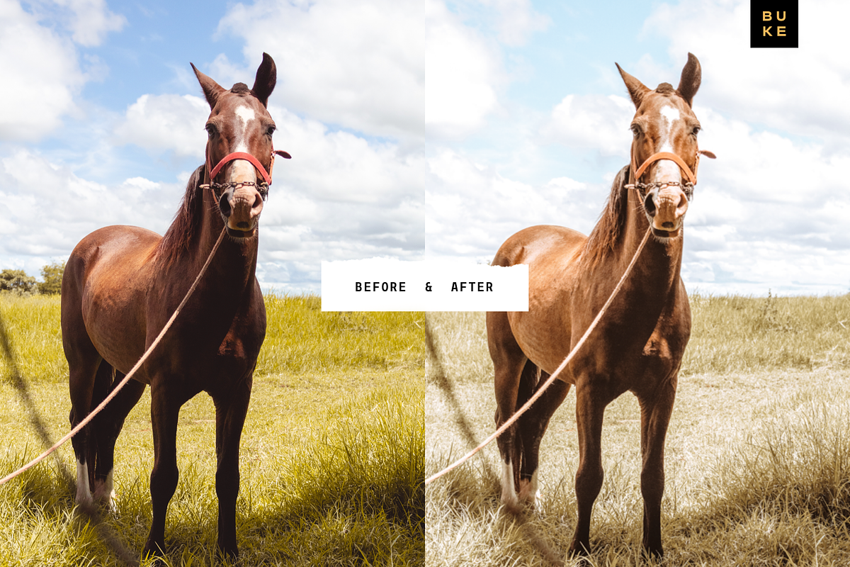 Go Sunny Lightroom Preset preview 8