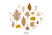 Autumn botany & Halloween mystery, a Seasonal Illustration by Ruslana Lubenets (Thumbnail 2 of 21)