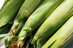 Fresh corn cobs on white wooden table, a Food & Drink Photo by Olena Rudo
