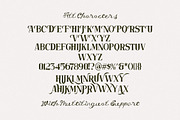 Untold Chapter Rustic Script & Serif, a Script Font by Letterhend Studio (Thumbnail 13 of 14)
