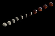 Blood Moon - SuperMoon - Total Lunar, a Nature Photo by Cohesive Market (Thumbnail 2 of 2)
