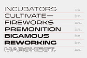Taruno Wide Font Family, a Sans Serif Font by Locomotype (Thumbnail 9 of 13)