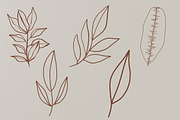 Botanical Seamless Patterns V2, a Pattern Graphic by PixelHive Pro (Thumbnail 17 of 17)