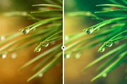 8 Rainy Day LR & PS Presets, an Action Add-On by M E G A S E T S (Thumbnail 8 of 11)