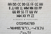 BadGirl, a Script Font by FreshTypeINK (Thumbnail 8 of 8)
