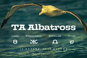TA Albatross, a Slab Serif Font by TAFT Foundry (Thumbnail 1 of 16)