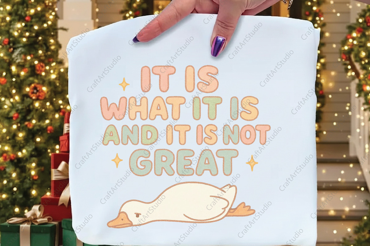 It Is What It Is and It Is Not Great, an Illustration by CraftArtStudio (Photo 2 of 4)