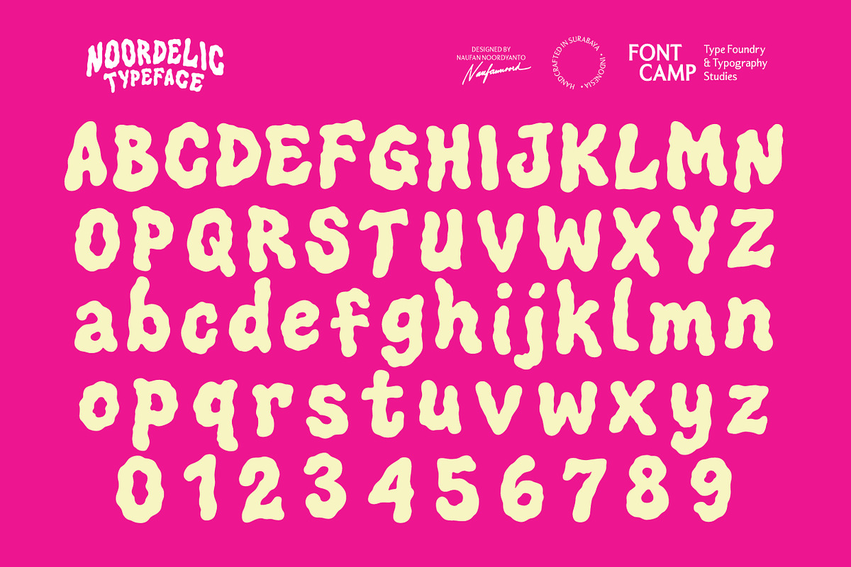 Noordelic Font, a Symbol Font by Fontcamp Type Foundry (Photo 3 of 14)