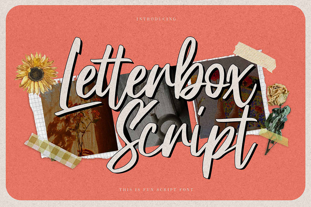Letterbox Script - Fun Script, a Script Font by Gassstype (Photo 1 of 8)
