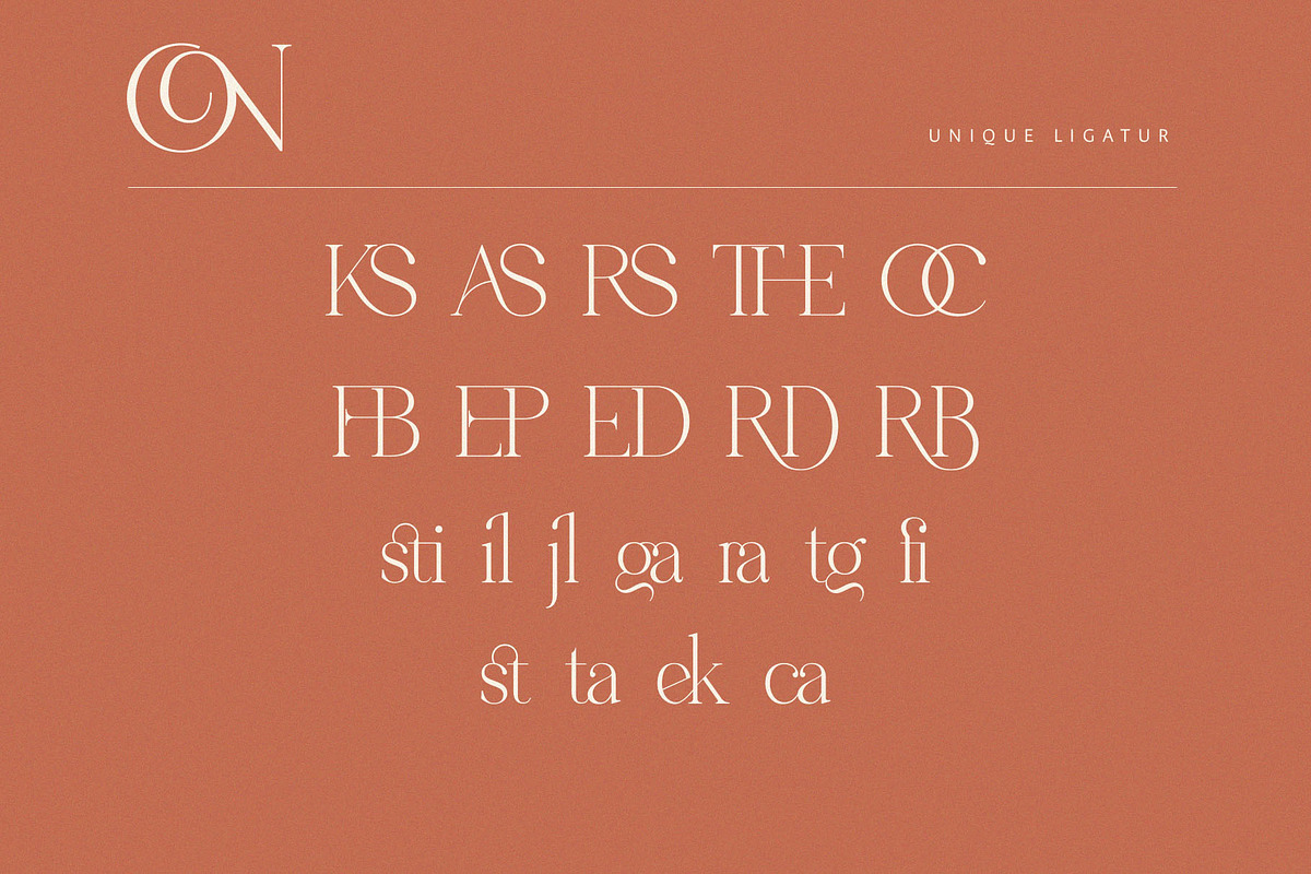 Metagana – Modern Display Serif Font, a Serif Font by BrandSemut (Photo 7 of 8)