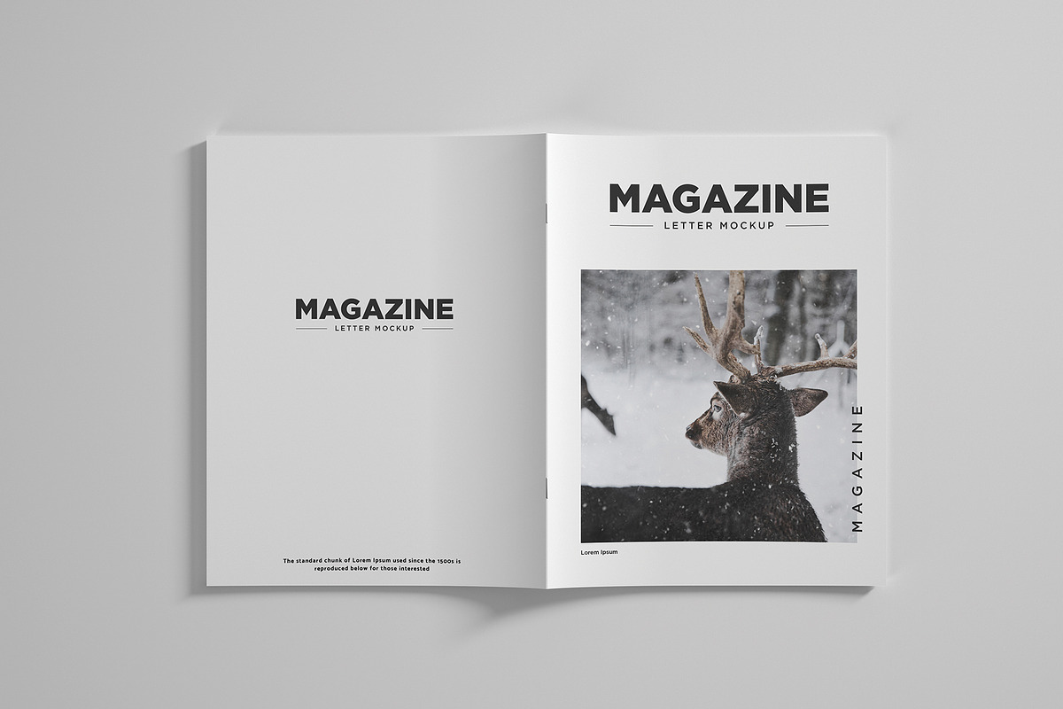 Us Letter Magazine Mockup, a Print Template by AlkStudio (Photo 7 of 14)