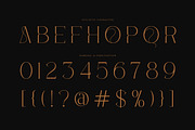 Ozean | Luxury Serif Font, a Serif Font by Mahesans Co (Thumbnail 9 of 10)