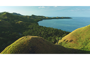 Lush tropical island with rolling, an Animal Photo by Goinyk