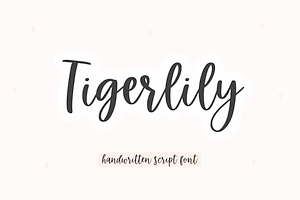 Tigerlily Handwritten Script Font