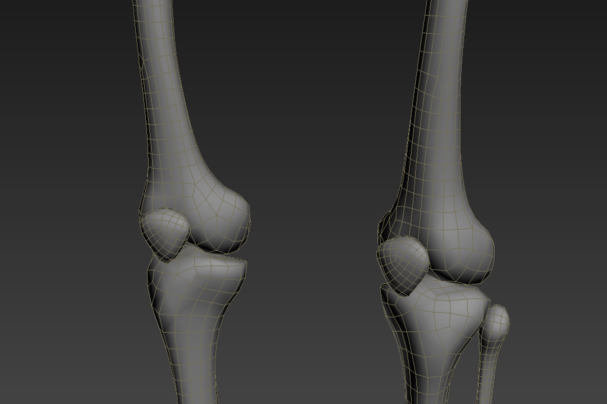 Human skeleton rigged, a Characters & Person 3D Model by konstantin.ermolaev (Photo 21 of 27)