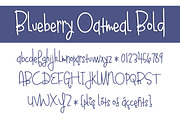 Blueberry Oatmeal Font Family, a Script Font by Brittney Murphy Design (Thumbnail 5 of 5)