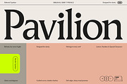 Pavilion Serif Typeface, a Serif Font by God Control (Thumbnail 1 of 12)